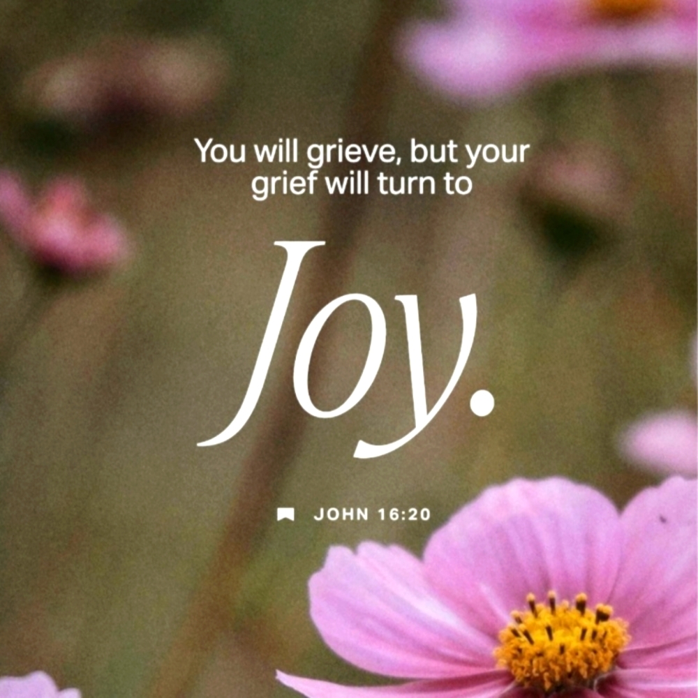 "Correct Gently" - the seller/buyer… - Picture 2 of 16